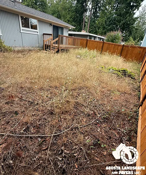 Backyard Paver & Lighting Project